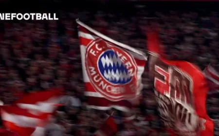 Interview with Bayern Fan Niklas: Insights on the Upcoming Opponent