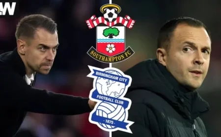 Southampton v Birmingham: 9 Players, Including £7m Striker Downs, to Miss Match