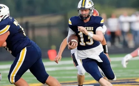 Stream Hillsdale vs. St. Henry OHSAA Championship Game Live