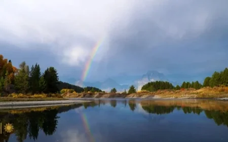 National Parks Honor Trump’s Birthday; Drop MLK Day, Juneteenth from Free Days