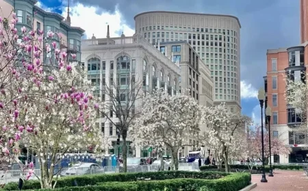 Aer Lingus Expands Boston Flights in Largest Schedule Unveiling