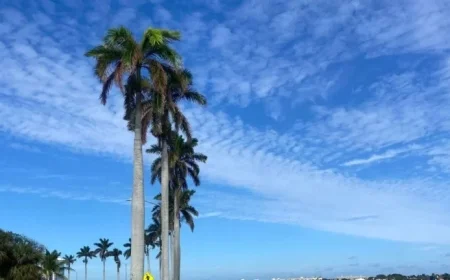 Warm Weekend Anticipated Ahead of Approaching Cold Front