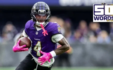 Are Ravens or Steelers Facing Elimination from Playoffs?