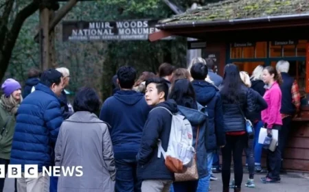 National Park Service Ends Free Entry on MLK Day and Juneteenth