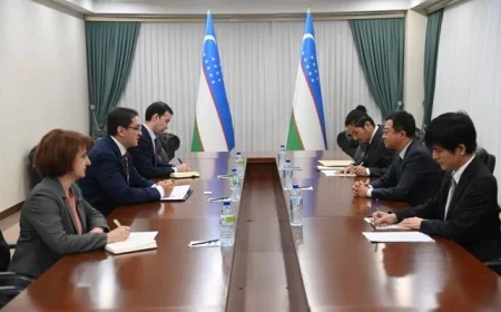 Uzbekistan, Japan Enhance Strategic Partnership Talks