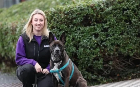 Scotland’s Loneliest Pets Seek Loving Forever Homes