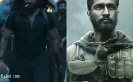 Fans’ Theory on Dhurandhar and Vicky Kaushal’s ‘Uri’ Goes Viral