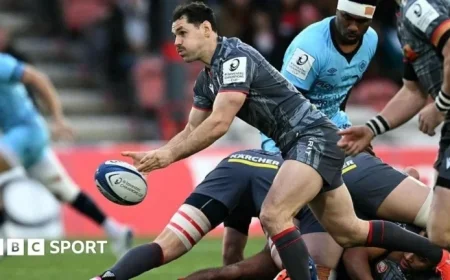 Live Rugby: Champions & Challenge Cup Updates for Pau v Northampton Saints