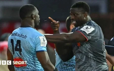 Edinburgh vs Toulon: Live Rugby Score Updates and Text Commentary