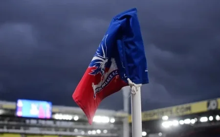 Crystal Palace Star Expresses Deep Frustration