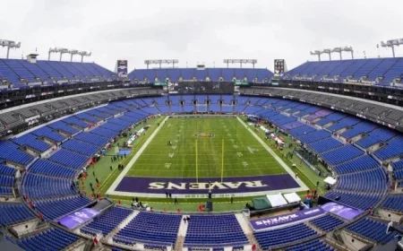 Watch Pittsburgh Steelers vs. Baltimore Ravens: NFL Week 14 Viewing Guide