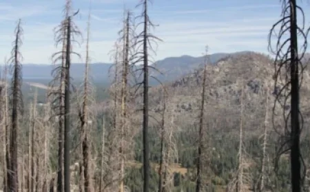 Browns WR Jerry Jeudy’s Season Struggles: Insights from Mary Kay