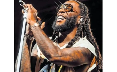 Burna Boy’s Denver Show Highlights Fans’ Influence Across Media Platforms