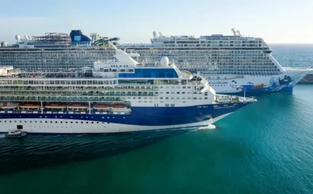 Cruise Ship Footage Triggers Intense Online Debate on Safety Concerns