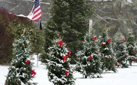 Will Georgia Enjoy a White Christmas? Long-Range Snow Forecast Revealed