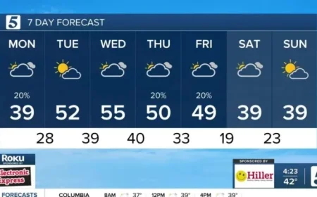 Cloudy and Cold Weather Expected on December 8, 2025