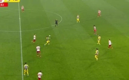 UTA vs Petrolul Live Stream at 17:30 on Digi Sport 1, Playoff Spot at Stake