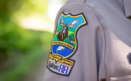 Illegal Moose Poaching on Côte-Nord Raises Concerns