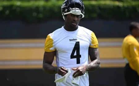 Steelers’ DK Metcalf Hospitalized Sunday Due to Stomach Pain