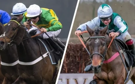 Top Horses to Watch at Cheltenham: Festival Winner, Five-Timer Hunter & More