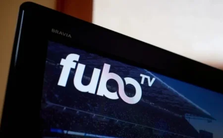 Streaming Platform Cuts Monthly Fees in Uncommon Move