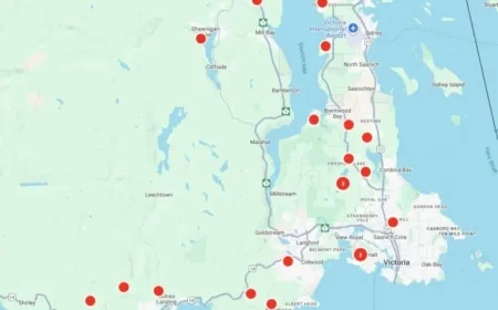 South Island Power Outage: 5,500 Without Electricity Due to Fallen Trees