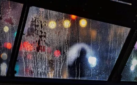 Winter Solstice Ritual Celebrations Unveiled