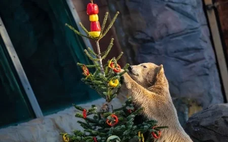 Markets Slide as Fed Meeting Looms