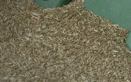 North Dakota Farmer Fined $60,000 for Seed Law Violations