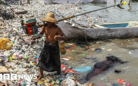 UN Environment Report Compromised by Fossil Fuel Influence