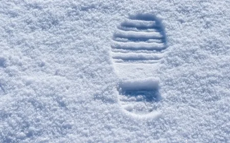 Windsor-Essex Weather Outlook for Tuesday, December 9, 2025