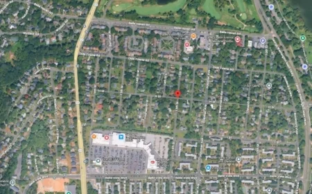 Rabies Found in Cat After Belle Haven Attacks