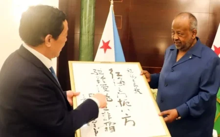 President of Djibouti Ismaïl Omar Guelleh Attends Bilateral Meeting