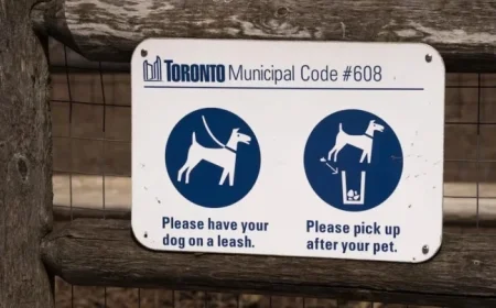 Toronto Woman Jailed for a Year After Dog Attacks Child