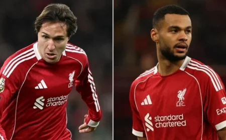 Federico Chiesa and Cody Gakpo Receive Fitness Updates