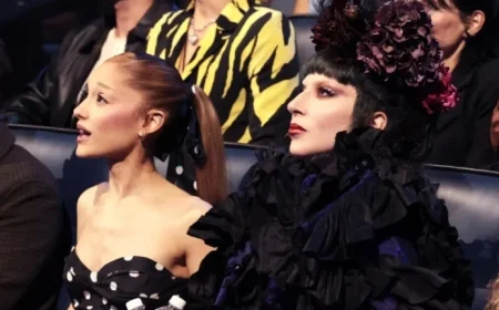 Ariana Grande Fan Ejected from Brisbane Lady Gaga Concert