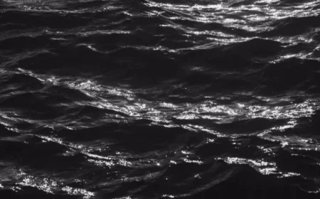 When Leaders Confuse Brutality with True Strength