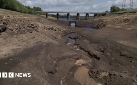 Yorkshire Water Ends Hosepipe Ban After Wet November