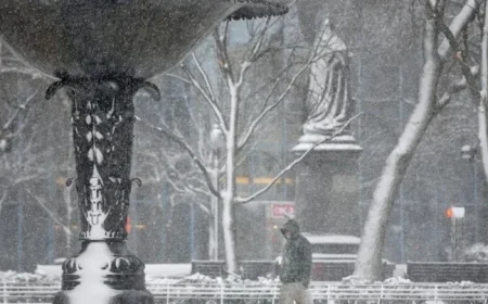 Hamilton Braces for ‘Alberta Clipper’ as Winter Weather Looms