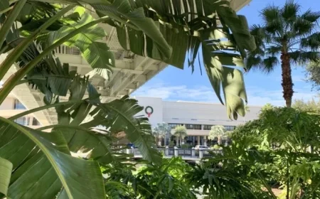 J&J’s Two-Drug Treatment Halts Tumor Growth in Advanced Multiple Myeloma