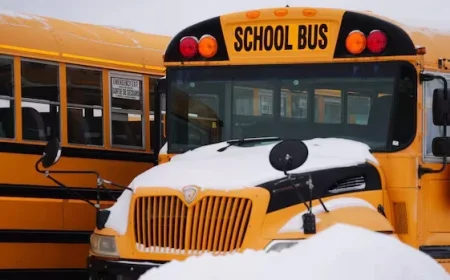 Winter Storm Halts School Bus Services and Classes in Southern Manitoba
