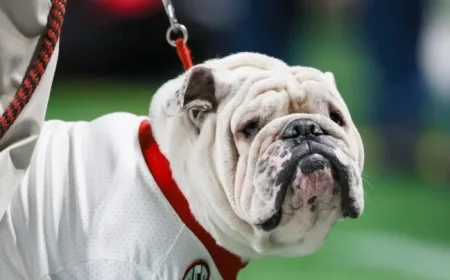 Georgia Football Cancels Future Home-and-Homes with Louisville and NC State