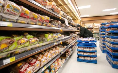 Secure Your Data: How to File a Bread Price-Fixing Settlement Claim