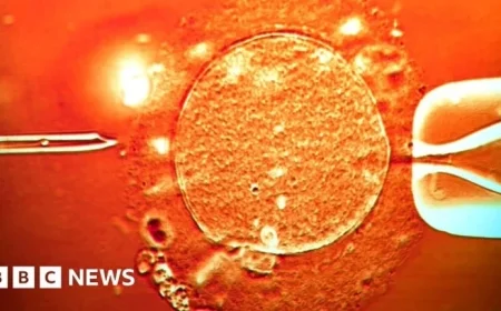 Donor’s Cancer-Linked Sperm Used in Conceiving Nearly 200 Children