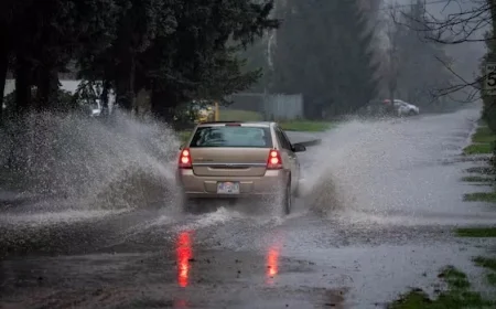 Heavy Rain Sparks Flood Warning for B.C.’s Fraser Valley