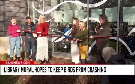 Boise Launches Bird-Safe Mural at Library to Prevent Strikes