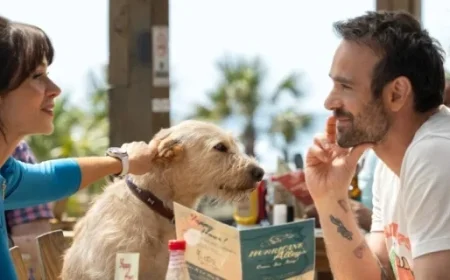 Review and Summary: Merv Movie (2025)