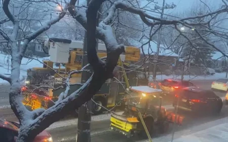 Wet Snow Blankets Toronto, Complicating Travel Conditions