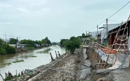 An Giang Erosion: 106 Incidents Cause 12 Billion Dong in Damages