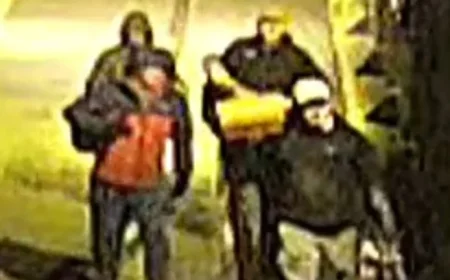 Police Appeal: Hundreds of High-Value Artefacts Stolen in Bristol Museum Raid